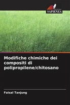 Faisal Tanjung - Modifiche chimiche dei compositi di polipropilene/chitosano