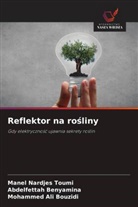 Abdelfettah Benyamina, Mohammed Ali Bouzidi, Manel Nardjes Toumi - Reflektor na rosliny