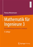 Thomas Westermann - Mathematik für Ingenieure 3