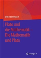 Walter Sennhauser - Plato und die Mathematik - Die Mathematik und Plato