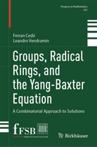 Ferran Cedó, Leandro Vendramin - Groups, Radical Rings, and the Yang-Baxter Equation