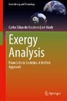Carlos Eduardo Keutenedjian Mady - Exergy Analysis