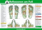 Hanne Marquardt - Reflexzonen am Fuß, Poster (A4)