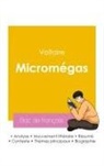 Voltaire - Réussir son Bac de français 2026 : Analyse de Micromégas de Voltaire