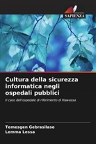 Temesgen Gebrasilase, Lemma Lessa - Cultura della sicurezza informatica negli ospedali pubblici