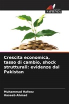 Haseeb Ahmad, Muhammad Hafeez - Crescita economica, tasso di cambio, shock strutturali: evidenze dal Pakistan
