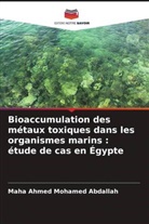 Maha Ahmed Mohamed Abdallah - Bioaccumulation des métaux toxiques dans les organismes marins : étude de cas en Égypte
