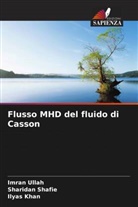 Ilyas Khan, Sharidan Shafie, Imran Ullah - Flusso MHD del fluido di Casson