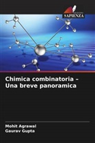 Mohit Agrawal, Gaurav Gupta - Chimica combinatoria - Una breve panoramica