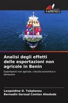 Bernadin Géraud Comlan Ahodode, Leopoldine D. Tokplonou - Analisi degli effetti delle esportazioni non agricole in Benin