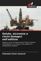 Chiemela Victor Amaechi - Salute, sicurezza e rischi biologici nell'edilizia