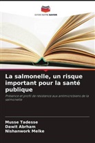 Dawit Abrham, Nishanwork Melke, Musse Tadesse - La salmonelle, un risque important pour la santé publique