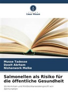 Dawit Abrham, Nishanwork Melke, Musse Tadesse - Salmonellen als Risiko für die öffentliche Gesundheit