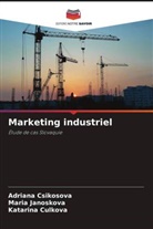 Adriana Csikósová, Katarina Culkova, Maria Janoskova - Marketing industriel