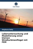 Stéphane Belly - Laboruntersuchung und Modellierung einer kleinen Windturbinenflügel mit FEM
