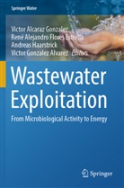 Victor Alcaraz Gonzalez, René Alejandro Flores Estrella, René Alejandro Flores Estrella, Victor Gonzalez Alvarez, Andreas Haarstrick, Haarstrick et al - Wastewater Exploitation
