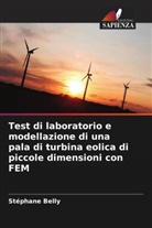 Stéphane Belly - Test di laboratorio e modellazione di una pala di turbina eolica di piccole dimensioni con FEM