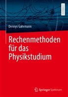 Dennys Gahrmann - Rechenmethoden für das Physikstudium