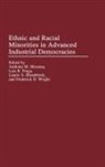 Luis Fraga, Anthony Messina, Rhodebeck Laurie, Jim Walsh, Wright Frederic D., Luis R. Fraga... - Ethnic and Racial Minorities in Advanced Industrial Democracies