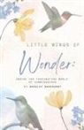 Bradley Barkhurst - Little Wings of Wonder