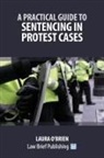 Laura O'Brien - A Practical Guide to Sentencing in Protest Cases