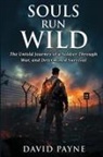 David Payne - Souls Run Wild