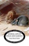Jean-Henri Fabre - Animal Life in Field and Garden