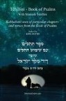 King David, Itzhak Hoki Aboudi - Tehillim - Book of Psalms With Shimush Tehillim [English with Hebrew]