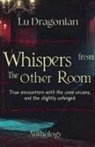 Lu Dragonian - Whispers from the Other Room
