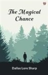 Dallas Lore Sharp - The Magical Chance