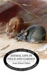 Jean-Henri Fabre - Animal Life in Field and Garden