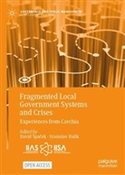 David Spacek, David Špaček, Balík, Stanislav Balík, Spacek, David Spacek... - Fragmented Local Government Systems and Crises