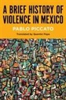 Pablo Piccato - Brief History of Violence in Mexico