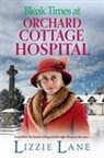 Lizzie Lane, Lizzie Lane - Bleak Times at Orchard Cottage Hospital
