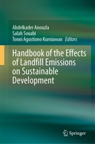 Tonni Agustiono Kurniawan, Abdelkader Anouzla, Tonni Agustiono Kurniawan, Salah Souabi - Handbook of the Effects of Landfill Emissions on Sustainable Development