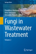 Chaudhery Mustansar Hussain, Ghazanfar Hussain, Neha Srivastava - Fungi in Wastewater Treatment