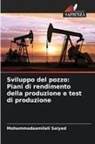 Mohammadaamilali Saiyed - Sviluppo del pozzo: Piani di rendimento della produzione e test di produzione