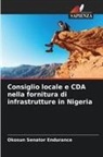 Okosun Senator Endurance - Consiglio locale e CDA nella fornitura di infrastrutture in Nigeria