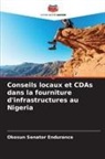 Okosun Senator Endurance - Conseils locaux et CDAs dans la fourniture d'infrastructures au Nigeria