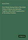 Herbert Welsh - Four Weeks Among Some of the Sioux Tribes of Dakota and Nebraska. Together with a Brief Consideration of the Indian Problem