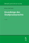 Niklaus Oberholzer - Grundzüge des Strafprozessrechts