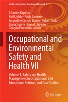 Rui B Melo, J. Santos Baptista, Paula Carneiro, Paula Carneiro et al, Jacqueline Castelo Branco, Nelson Costa... - Occupational and Environmental Safety and Health VII