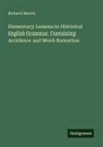Richard Morris - Elementary Lessons in Historical English Grammar. Containing Accidence and Word-formation