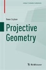 Emre Coskun, Emre Coşkun - Projective Geometry