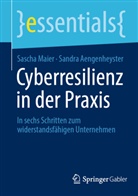 Sandra Aengenheyster, Sascha Maier - Cyberresilienz in der Praxis
