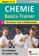 Axel Gutjahr - Chemie-Basics-Trainer 3