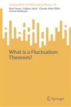 Noé Cuneo, Vojkan Jaksic, Vojkan Jakšić, Claude-Alain Pillet, Claude-Alain et Pillet, Armen Shirikyan - What is a Fluctuation Theorem?