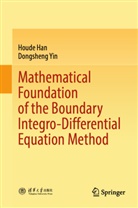 Houde Han, Dongsheng Yin - Mathematical Foundation of the Boundary Integro-Differential Equation Method