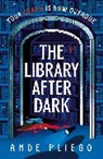 Ande Pliego - The Library After Dark