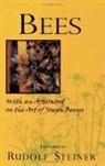 Rudolf Steiner - Bees